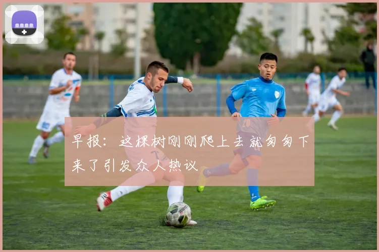 早报：这棵树刚刚爬上去就匆匆下来了引发众人热议