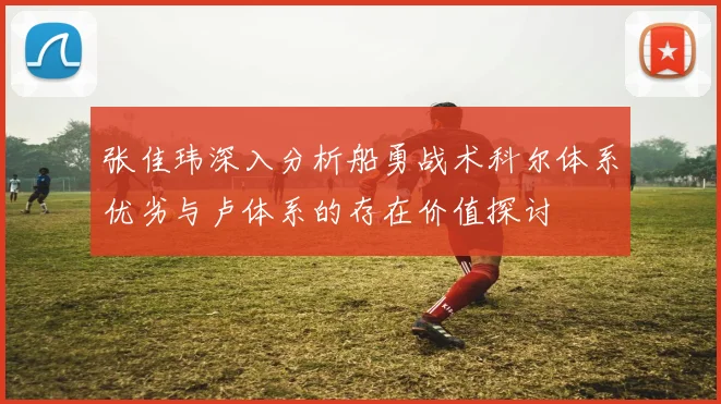张佳玮深入分析船勇战术科尔体系优劣与卢体系的存在价值探讨