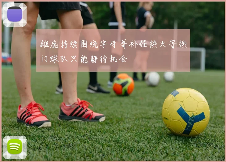 雄鹿持续围绕字母哥补强热火等热门球队只能静待机会
